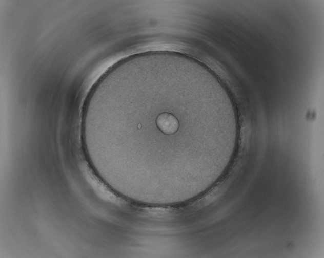 X0000111470836200907131516