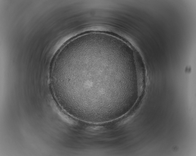 X0000111470837200907131516
