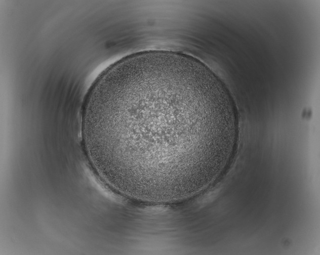 X0000111470838200907131516