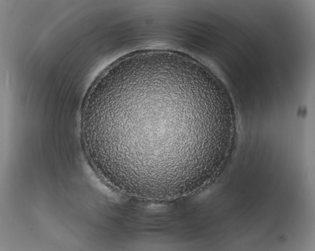 X0000111470839200907131516