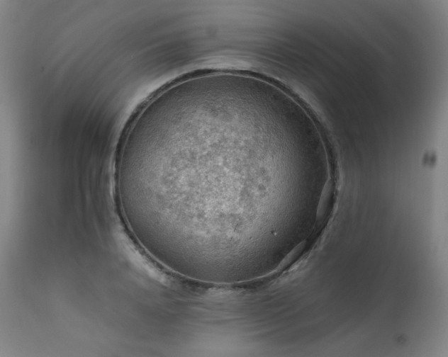 X0000111470840200907131516
