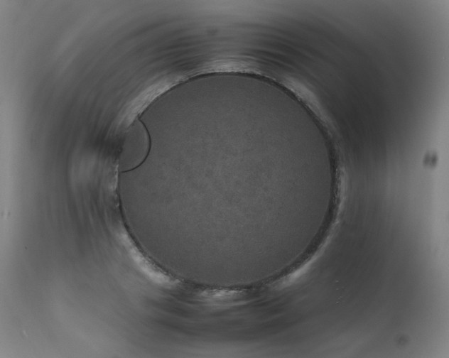 X0000111470841200907131516