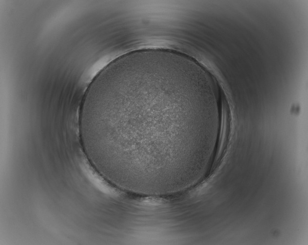 X0000111470842200907131516