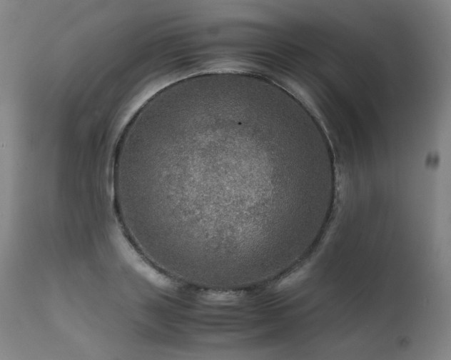 X0000111470843200907131517