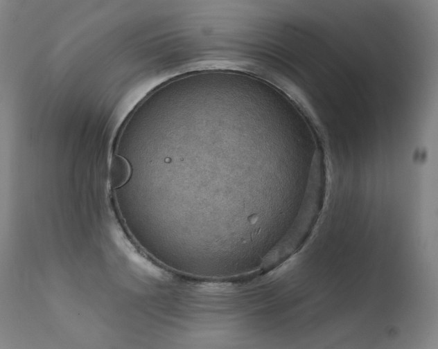 X0000111470844200907131517