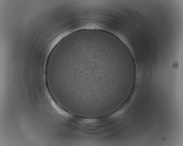 X0000111470845200907131517