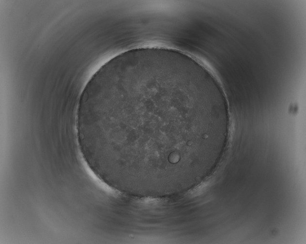 X0000111470847200907131517
