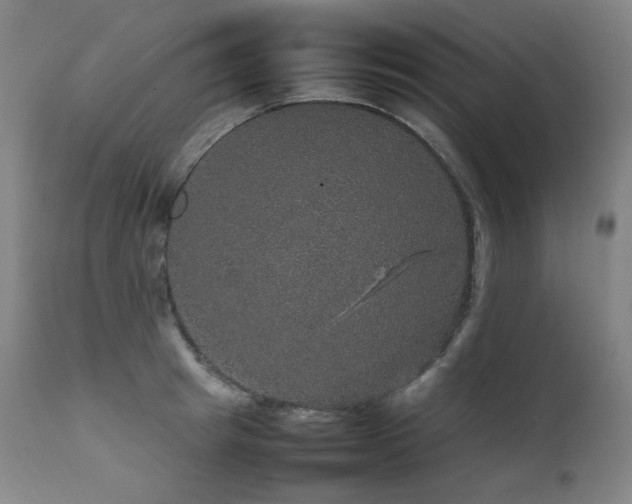 X0000111470849200907131517