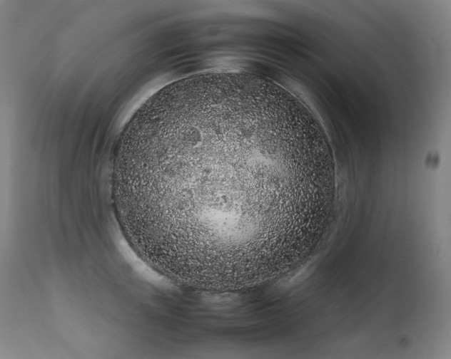 X0000111470851200907131517