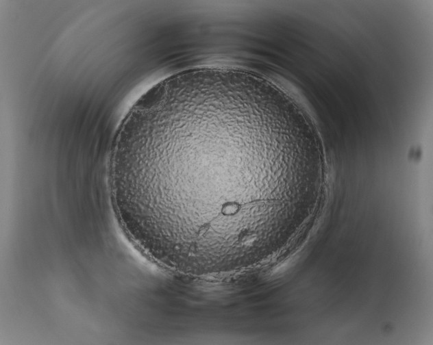 X0000111470855200907131517