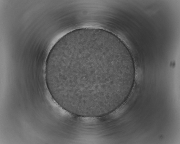 X0000111470856200907131517