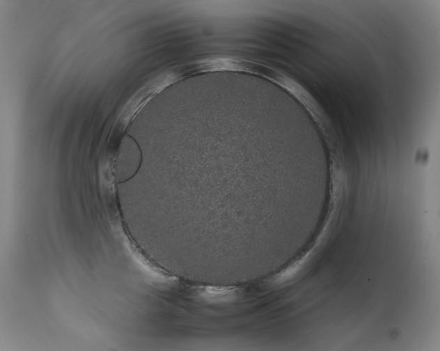 X0000111470857200907131517