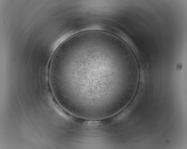 X0000111470858200907131517