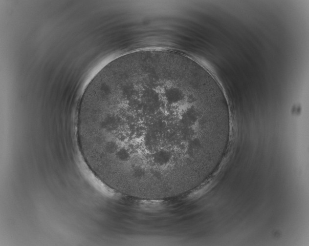 X0000111470859200907131517