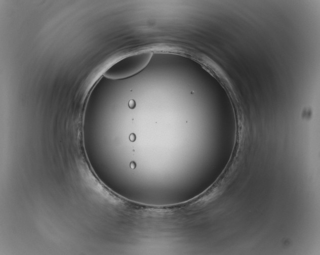 X0000111470860200907131517
