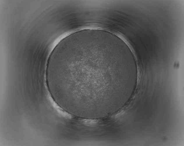 X0000111470861200907131517
