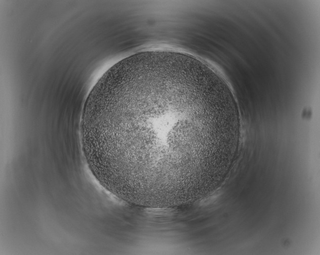 X0000111470863200907131517