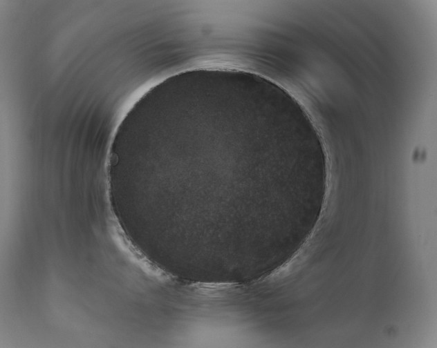 X0000111470864200907131517