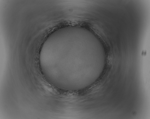 X0000111470865200907131516
