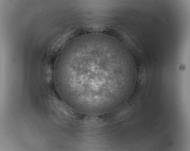 X0000111470866200907131516