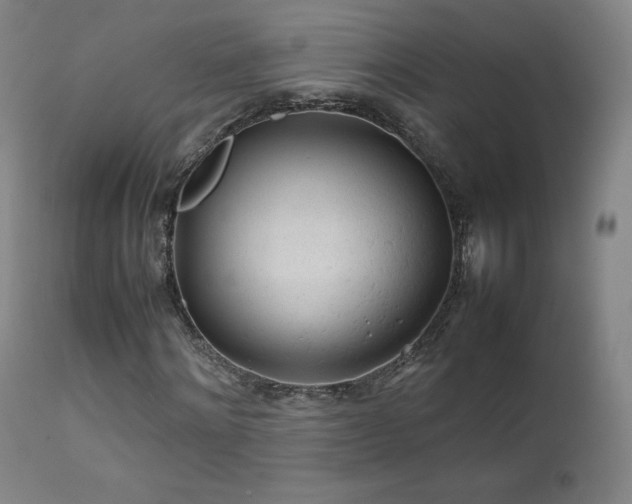 X0000111470868200907131516