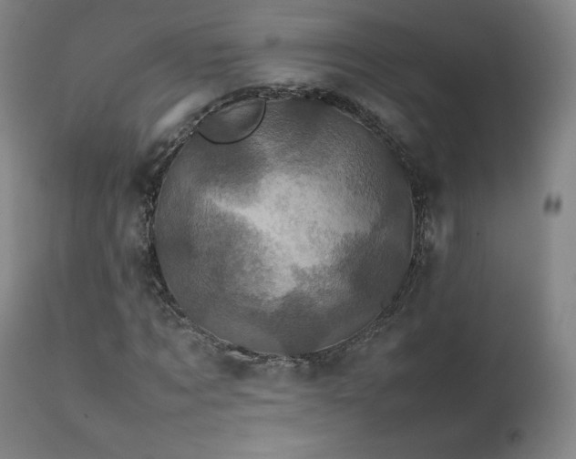 X0000111470869200907131516