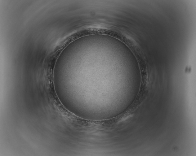 X0000111470870200907131516