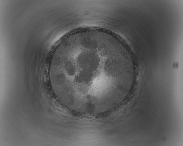 X0000111470871200907131516