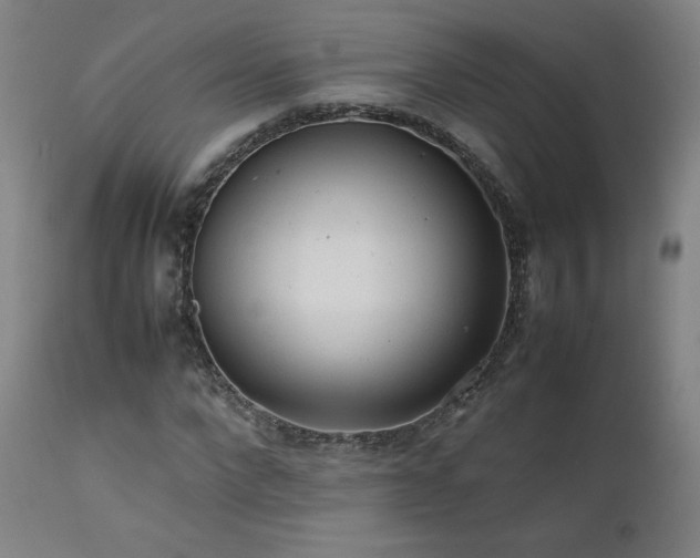 X0000111470872200907131516
