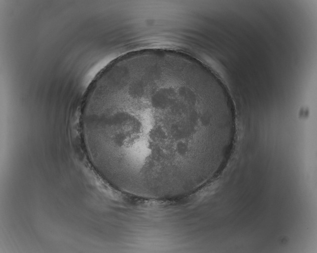X0000111470875200907131516