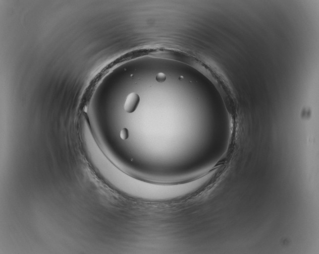 X0000111470876200907131516