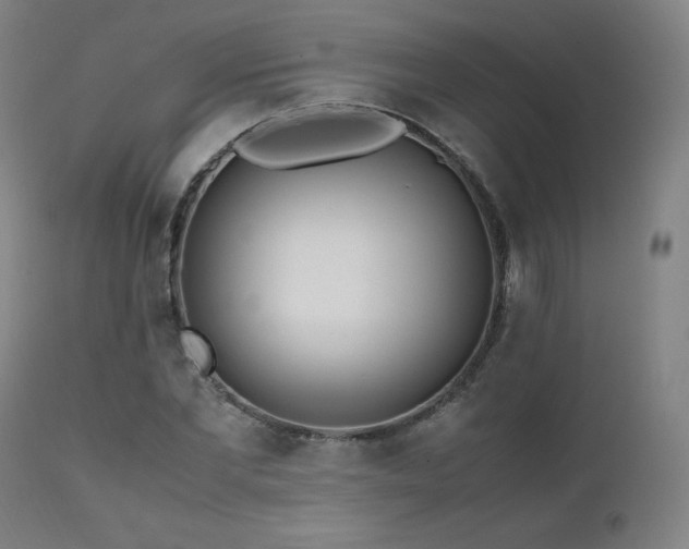 X0000111470877200907131516
