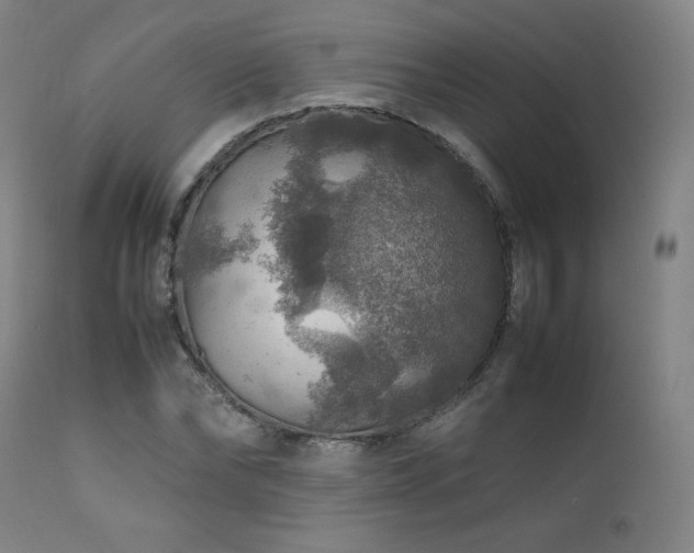 X0000111470878200907131516