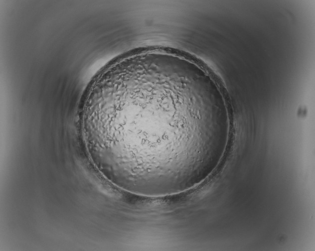 X0000111470879200907131516