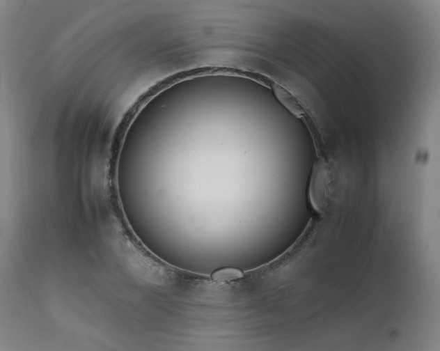 X0000111470880200907131516