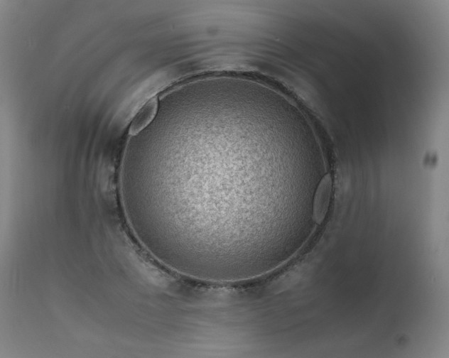 X0000111470881200907131516