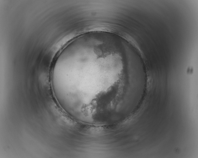 X0000111470882200907131516