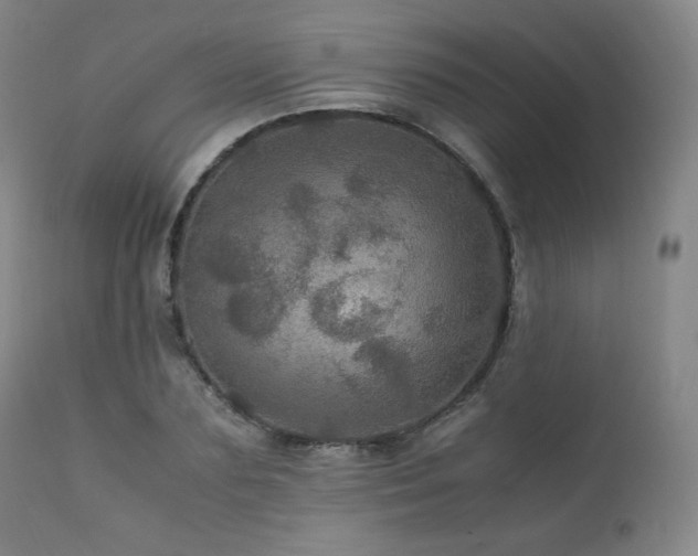 X0000111470883200907131516
