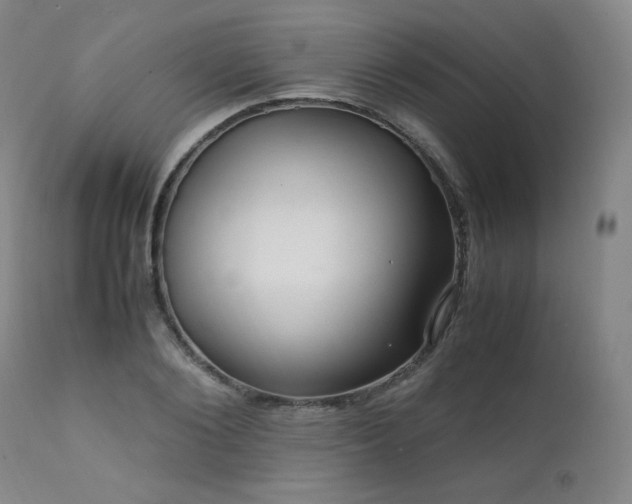 X0000111470884200907131516