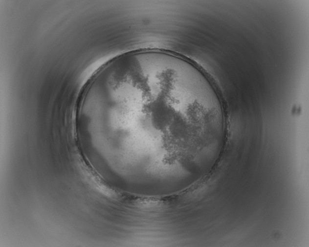 X0000111470886200907131516