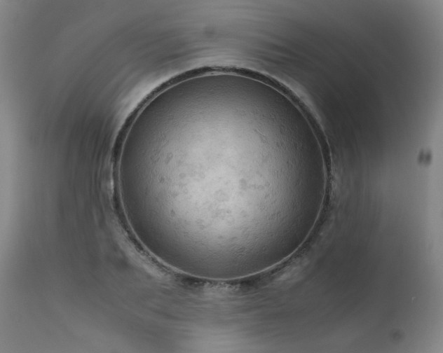 X0000111470887200907131516