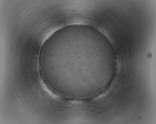 X0000111470890200907131516