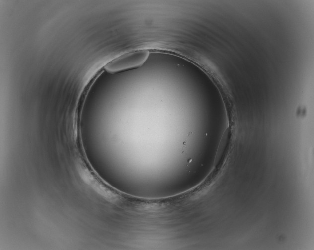 X0000111470892200907131516