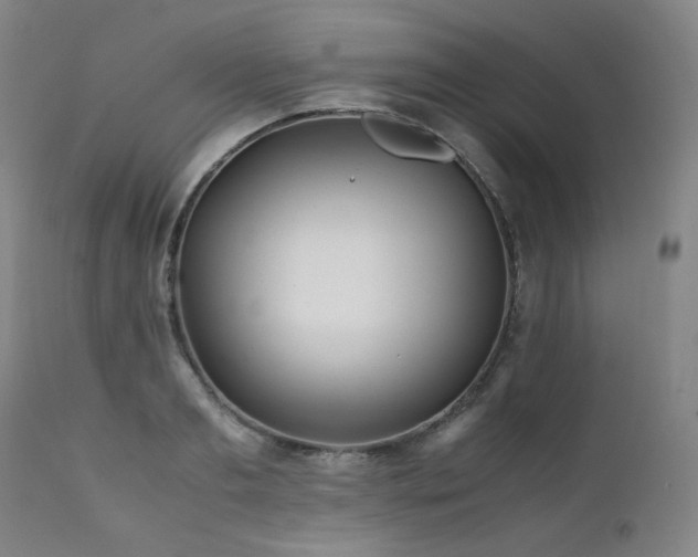 X0000111470893200907131516