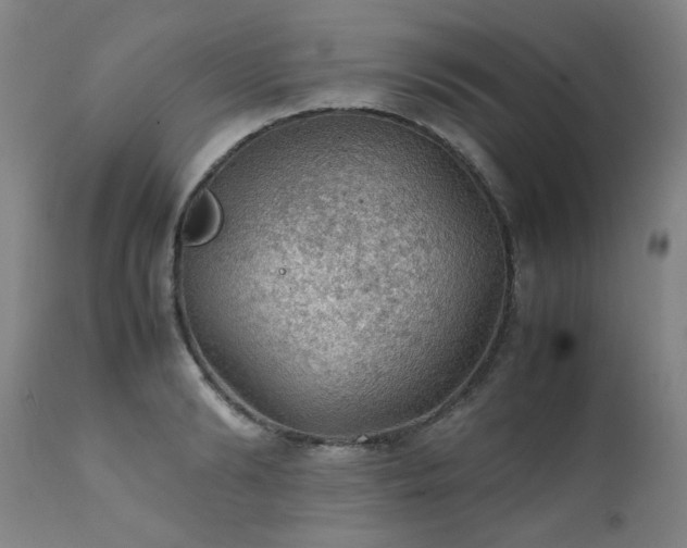 X0000111470894200907131516