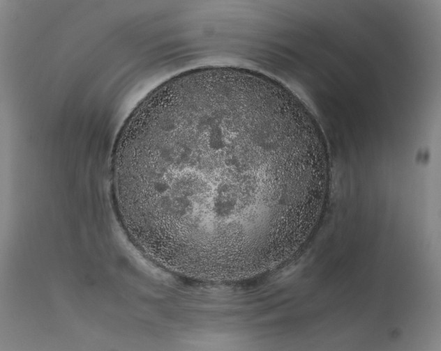 X0000111470895200907131516