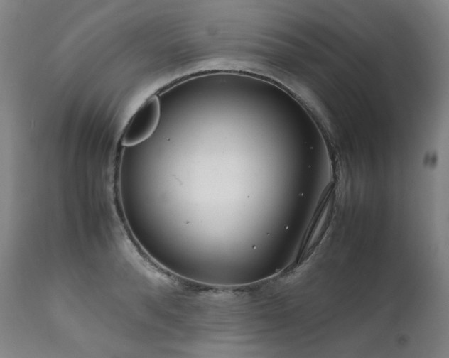 X0000111470896200907131516