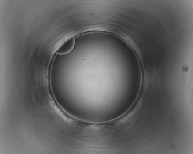 X0000111470898200907131516