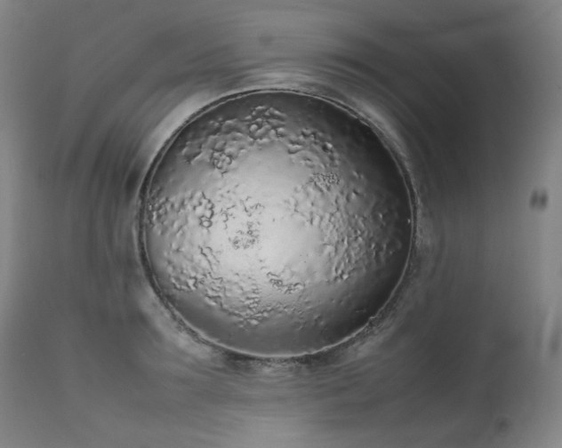 X0000111470899200907131516
