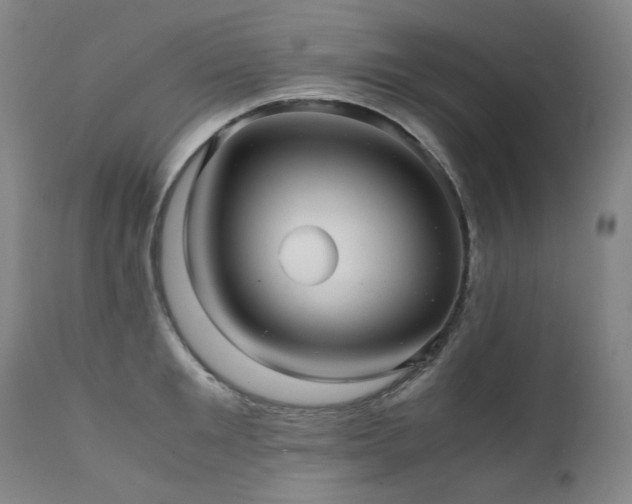 X0000111470901200907131516